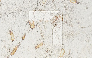 Клинкерный плинтус Флорентинер ABC Antik Muschelweiss 310*75*8 мм